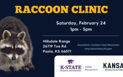 Racoon Clinic